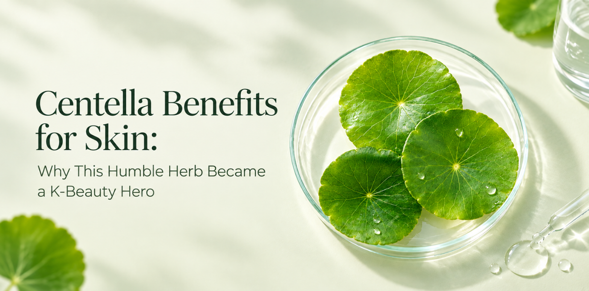 Centella Benefits for Skin: Why This Humble Herb Became a K-Beauty Hero