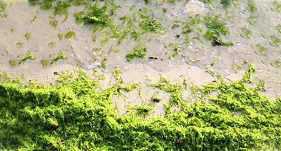 Niacinamide and Its Benefits in Skincare Products